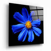 Blue Flower Glass Wall Art.